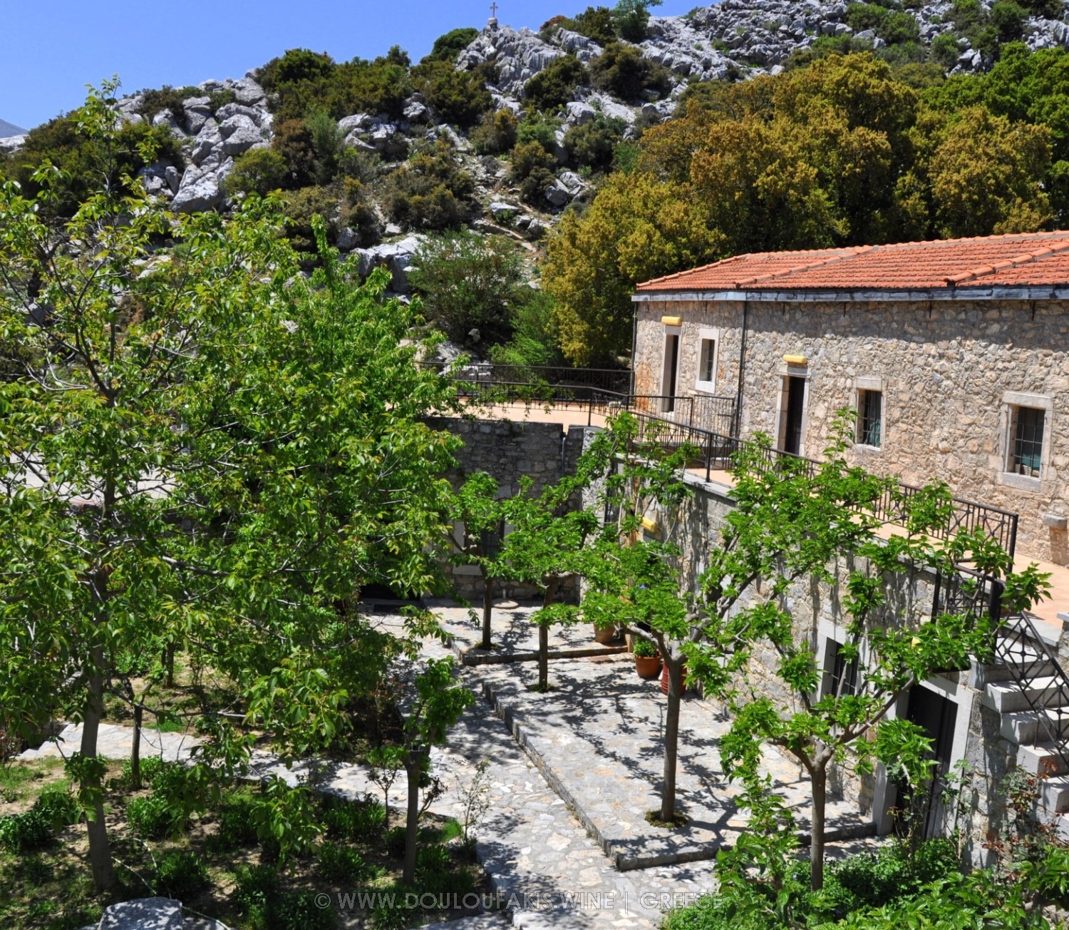 Die Geschichte der Rebsorte Vidiano aus Kreta, Griechenland