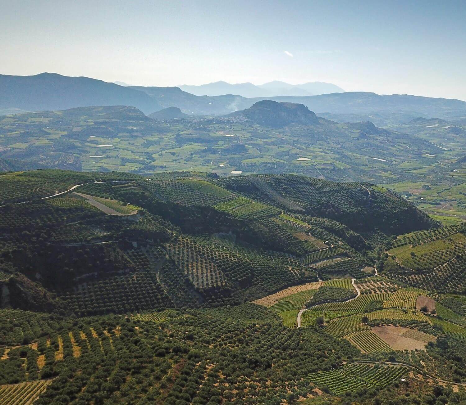 Beste Olivenölverkostung in der Nähe von Heraklion, Kreta